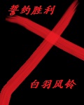 松柏闻花落
