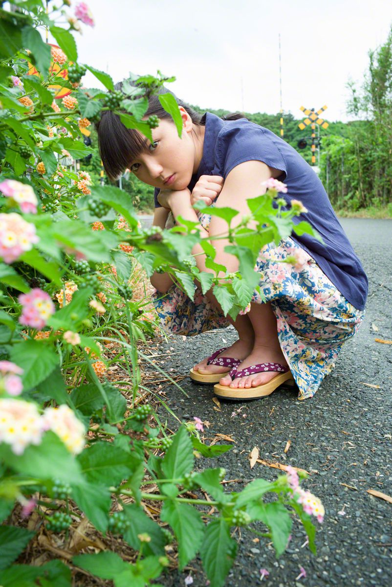 花陨兮